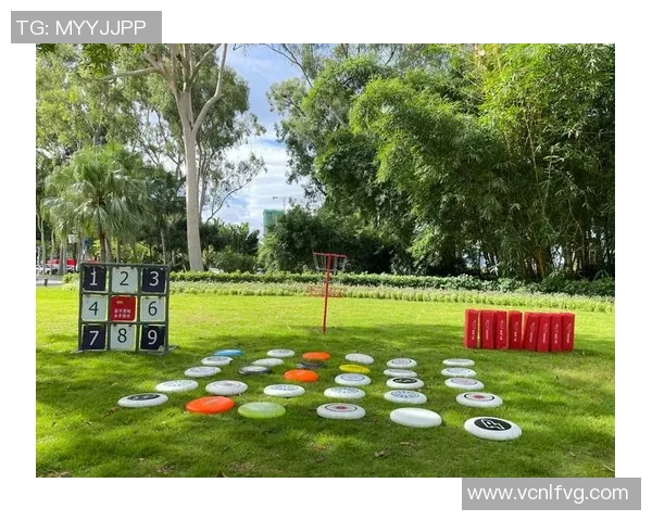 南京飞盘队的战术解析与转换体系探讨之飞盘竞技新思维